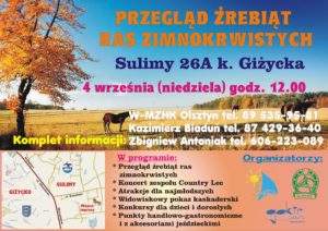 Konie zimnokrwiste Sulimy 04.09.2016